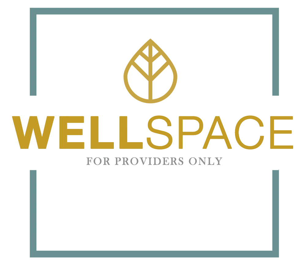 WellSpace logo